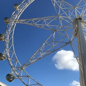 Meet your Posher, Millie